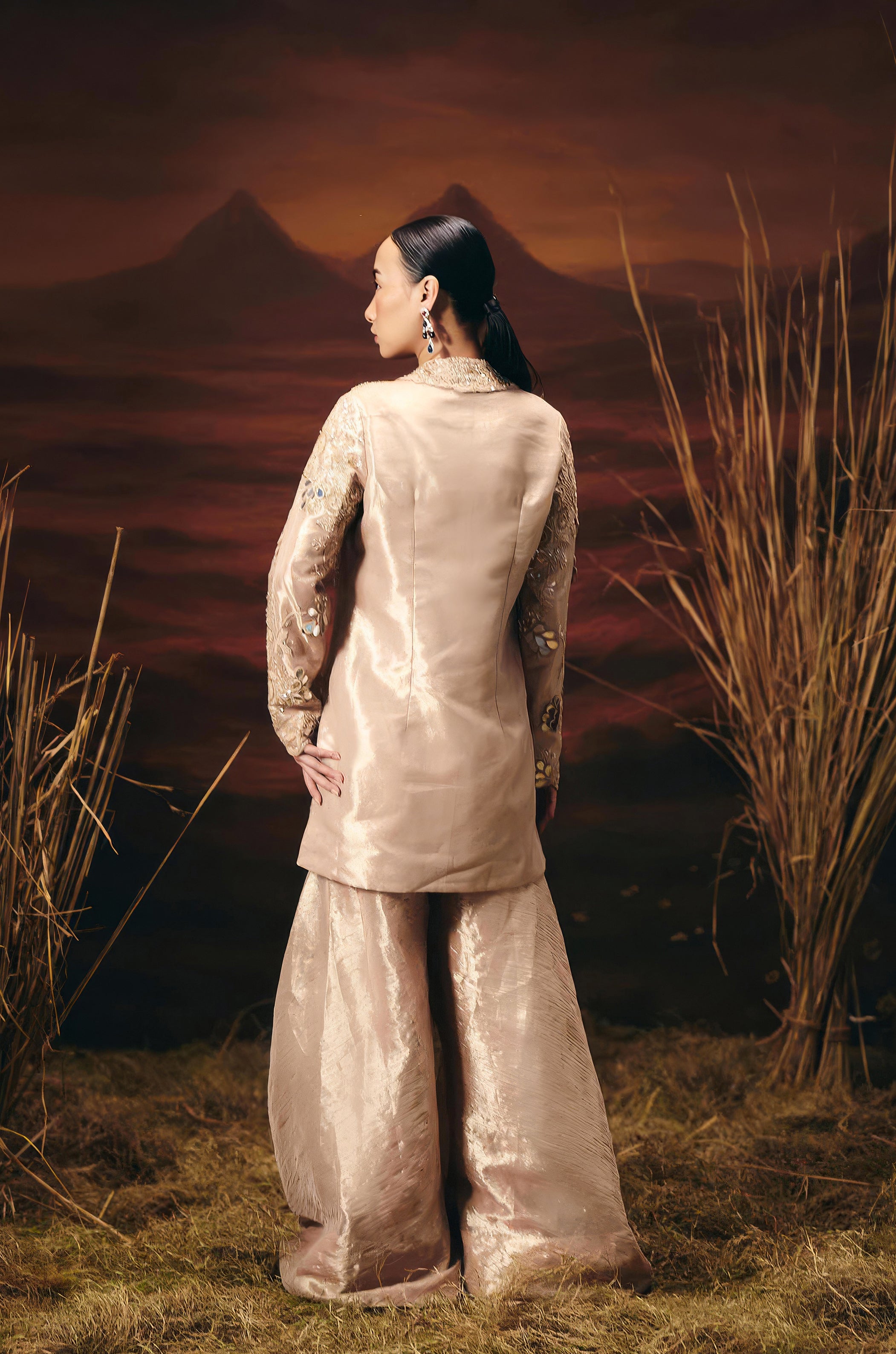 Dusty Beige Embellished Shimmer Tissue Silk Sharara Set