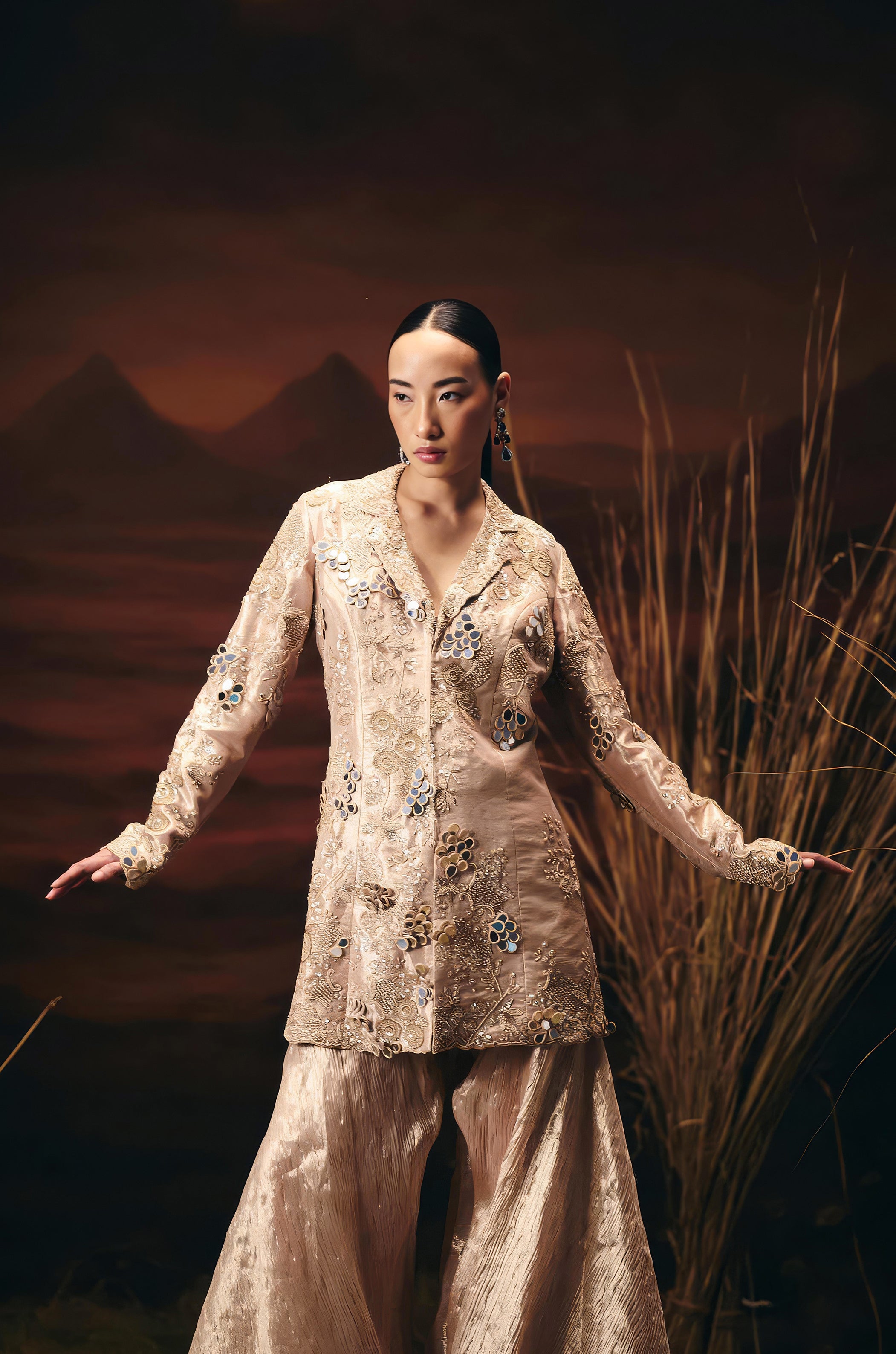 Dusty Beige Embellished Shimmer Tissue Silk Sharara Set