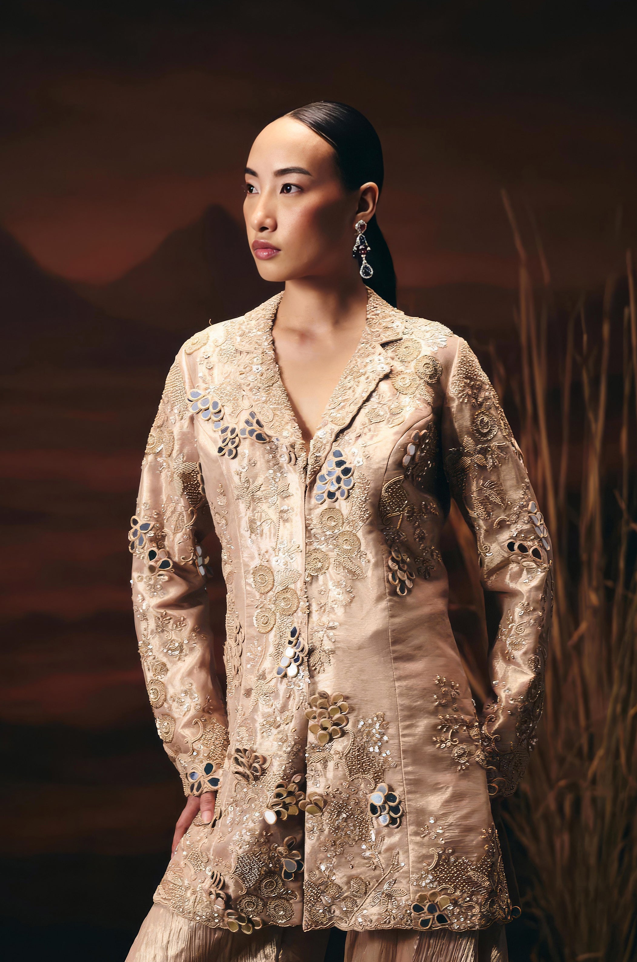 Dusty Beige Embellished Shimmer Tissue Silk Sharara Set