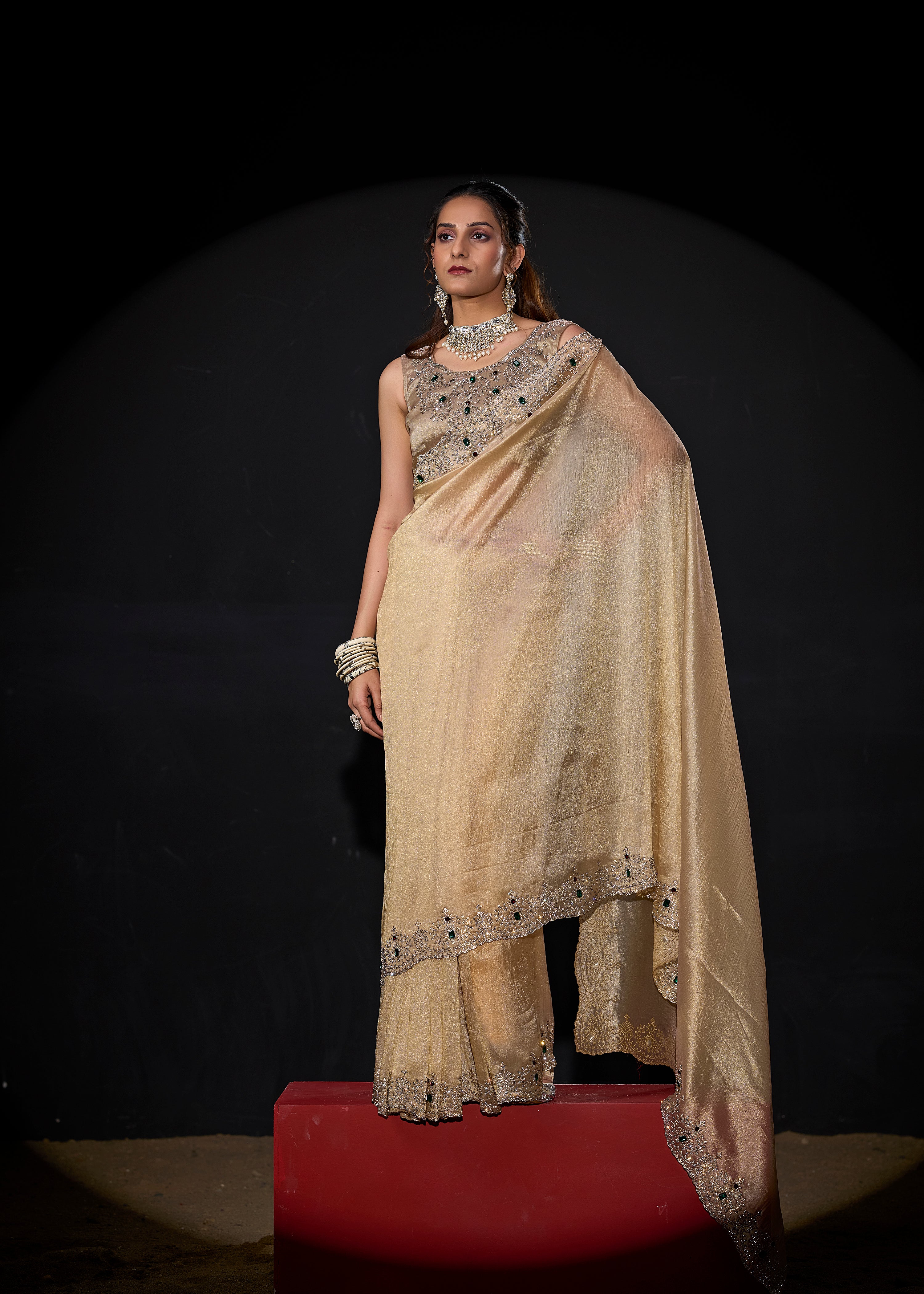 Pale Gold Embellished Shimmer Tissue Silk Saree