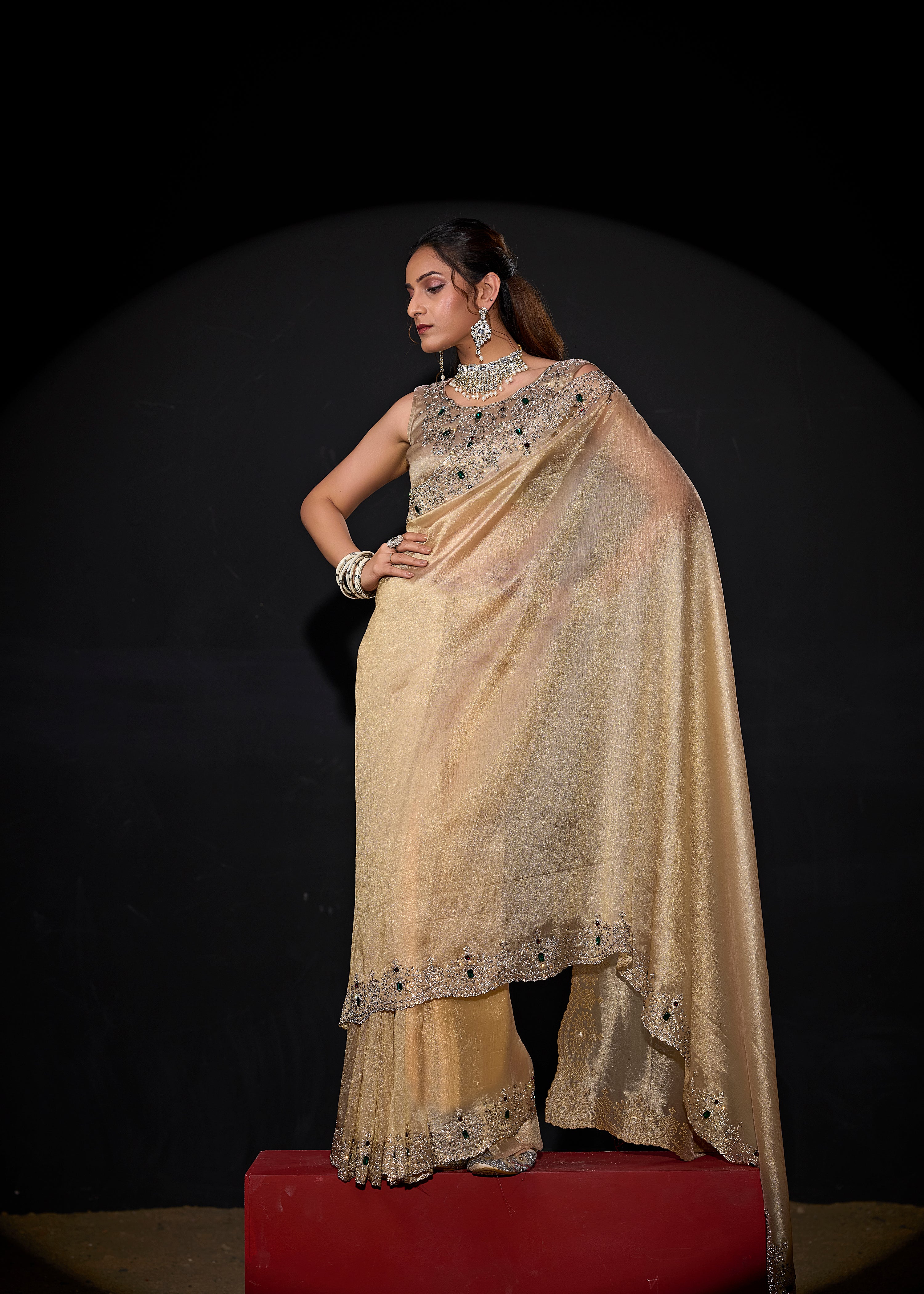 Pale Gold Embellished Shimmer Tissue Silk Saree