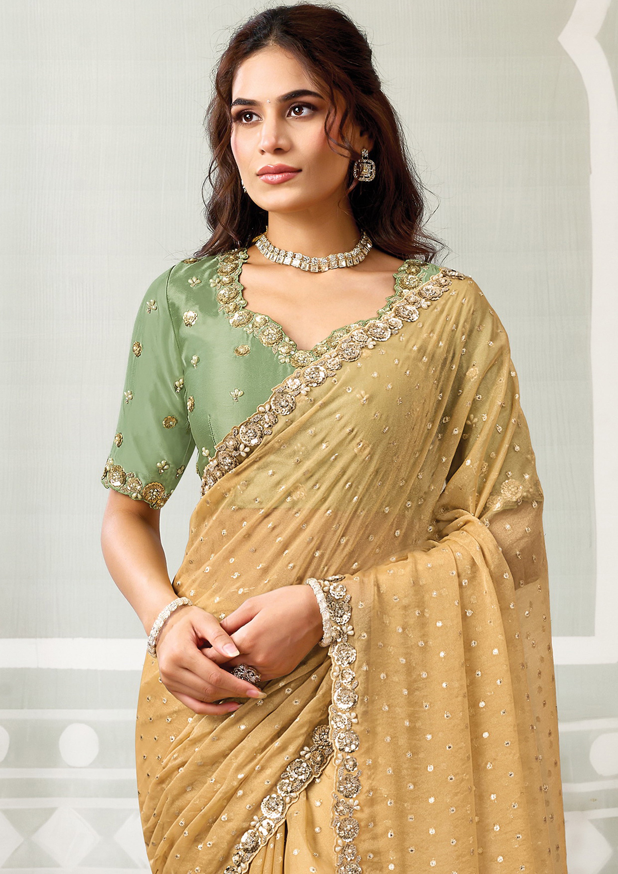 Golden Mist Embellished Georgette Jacquard Silk Saree