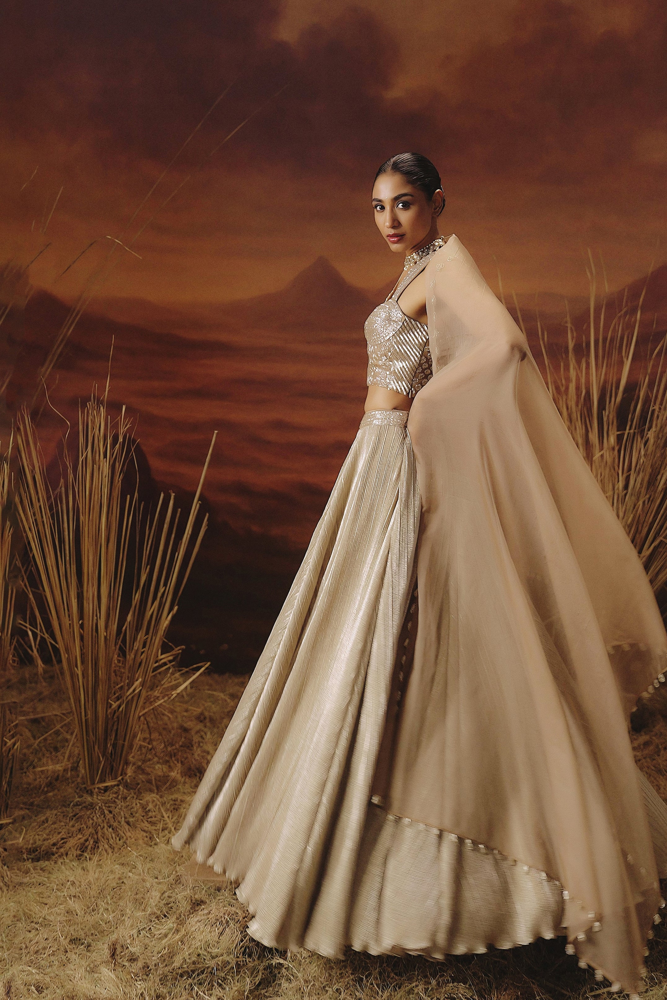 Champagne Gold Embellished Shimmer Lycra Silk Lehenga Set