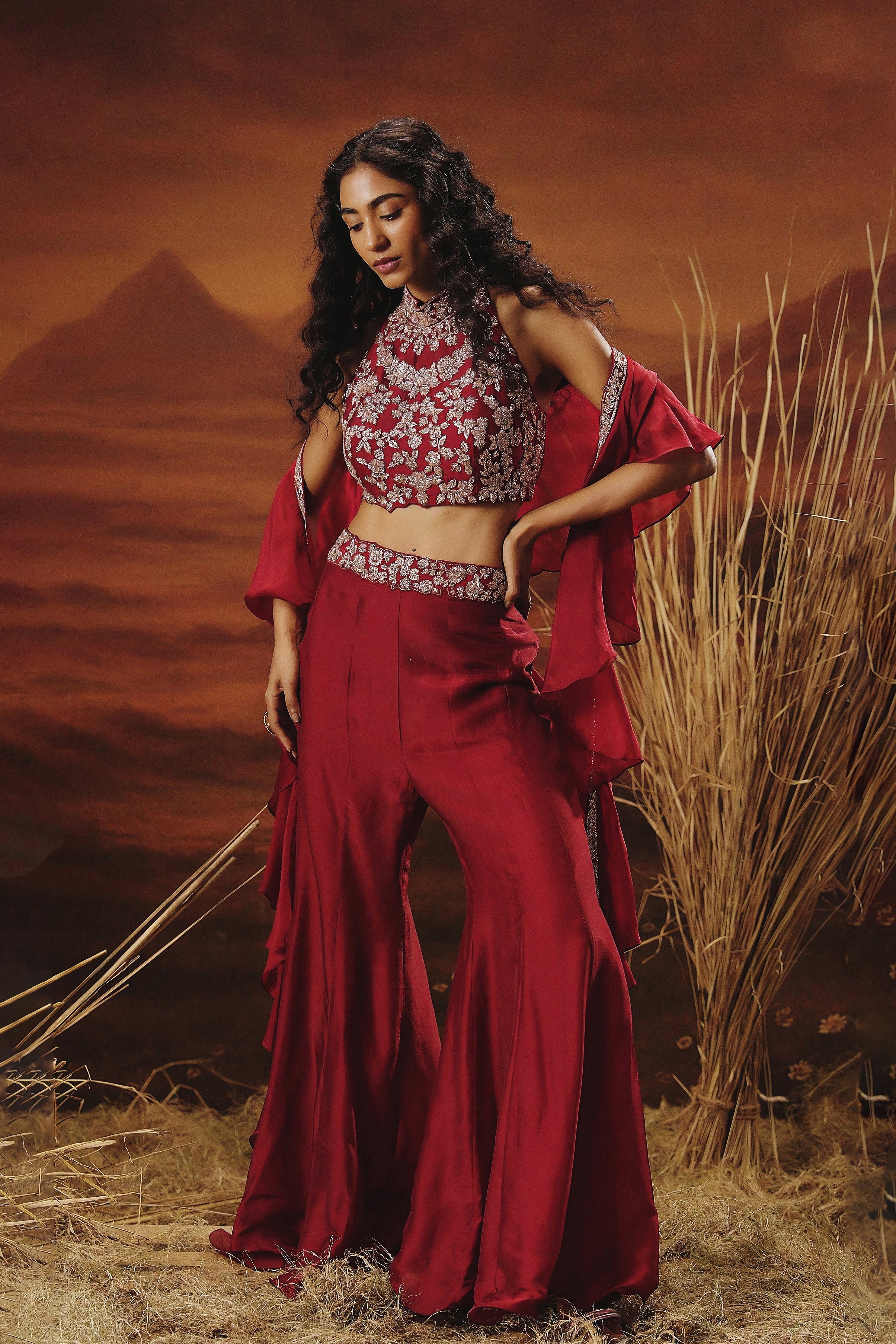 Deep Red Embellished Soft Organza Silk Palazzo Set