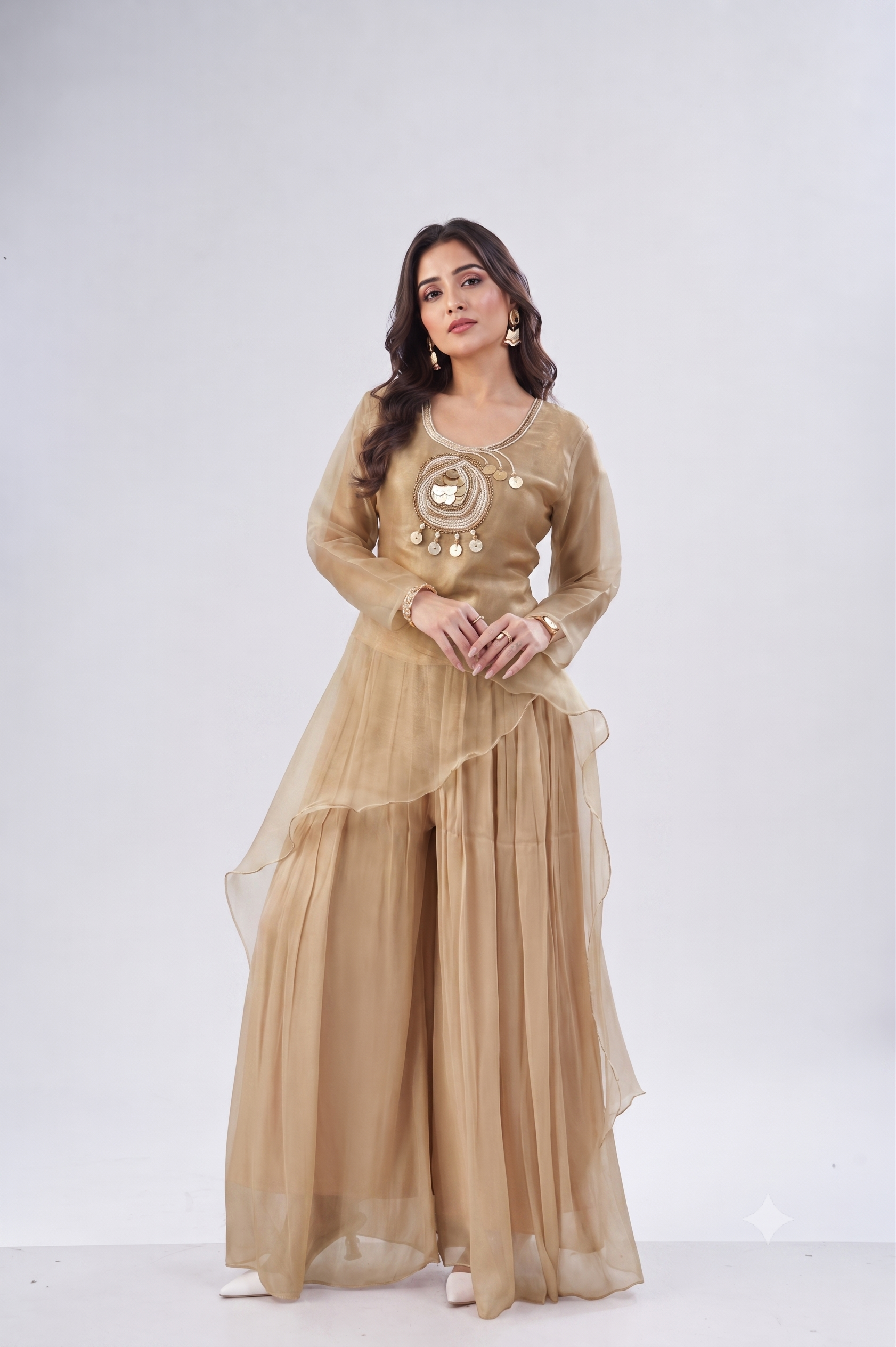 Blush Gold Embellished Shimmer Organza Silk Palazzo Set