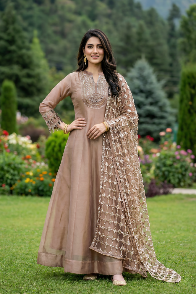 Dusty Rose Embellished Shimmer Organza Silk Anarkali Set