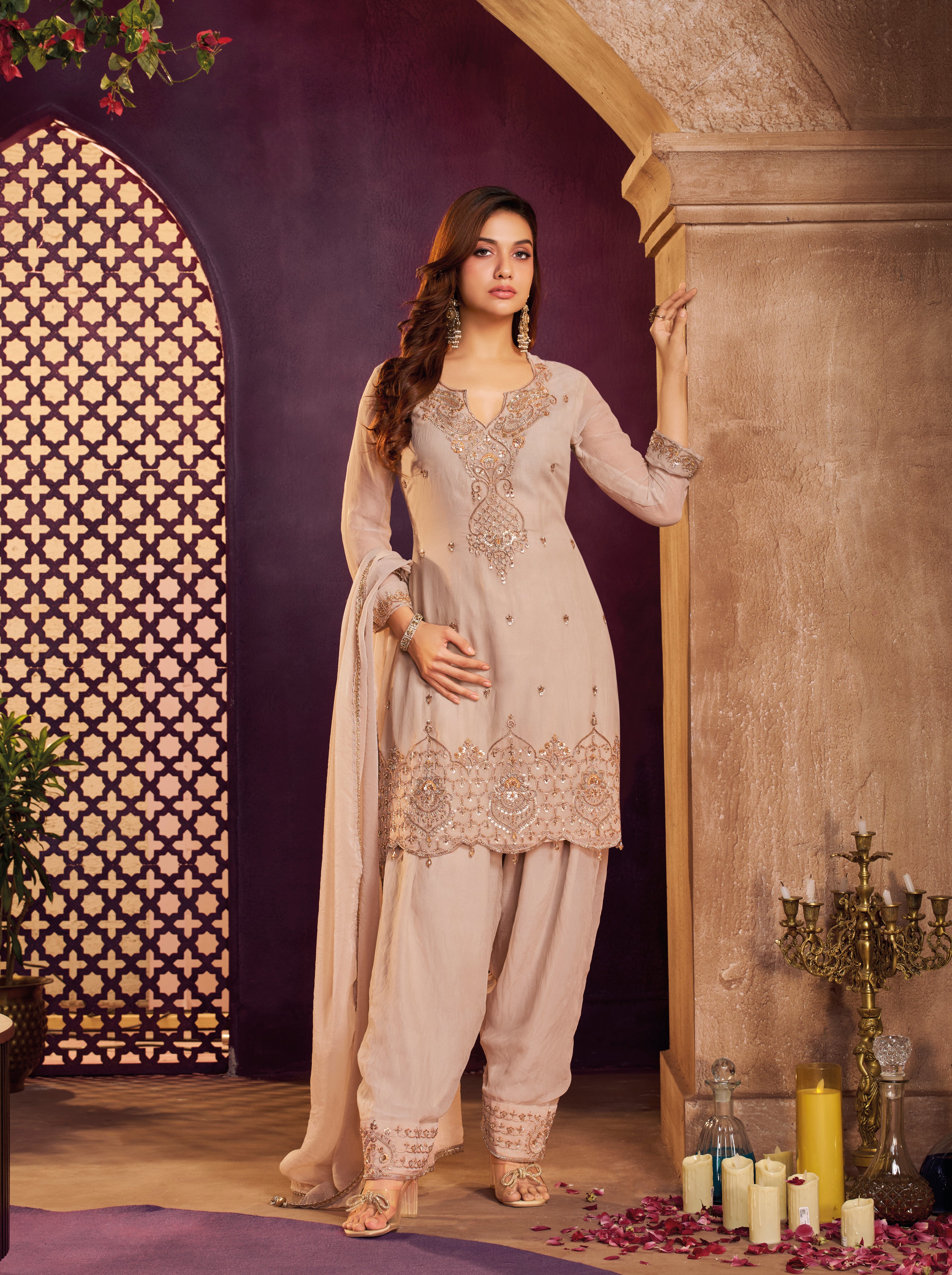Taupe Beige Embellished Organza Silk Farsi Salwar Set