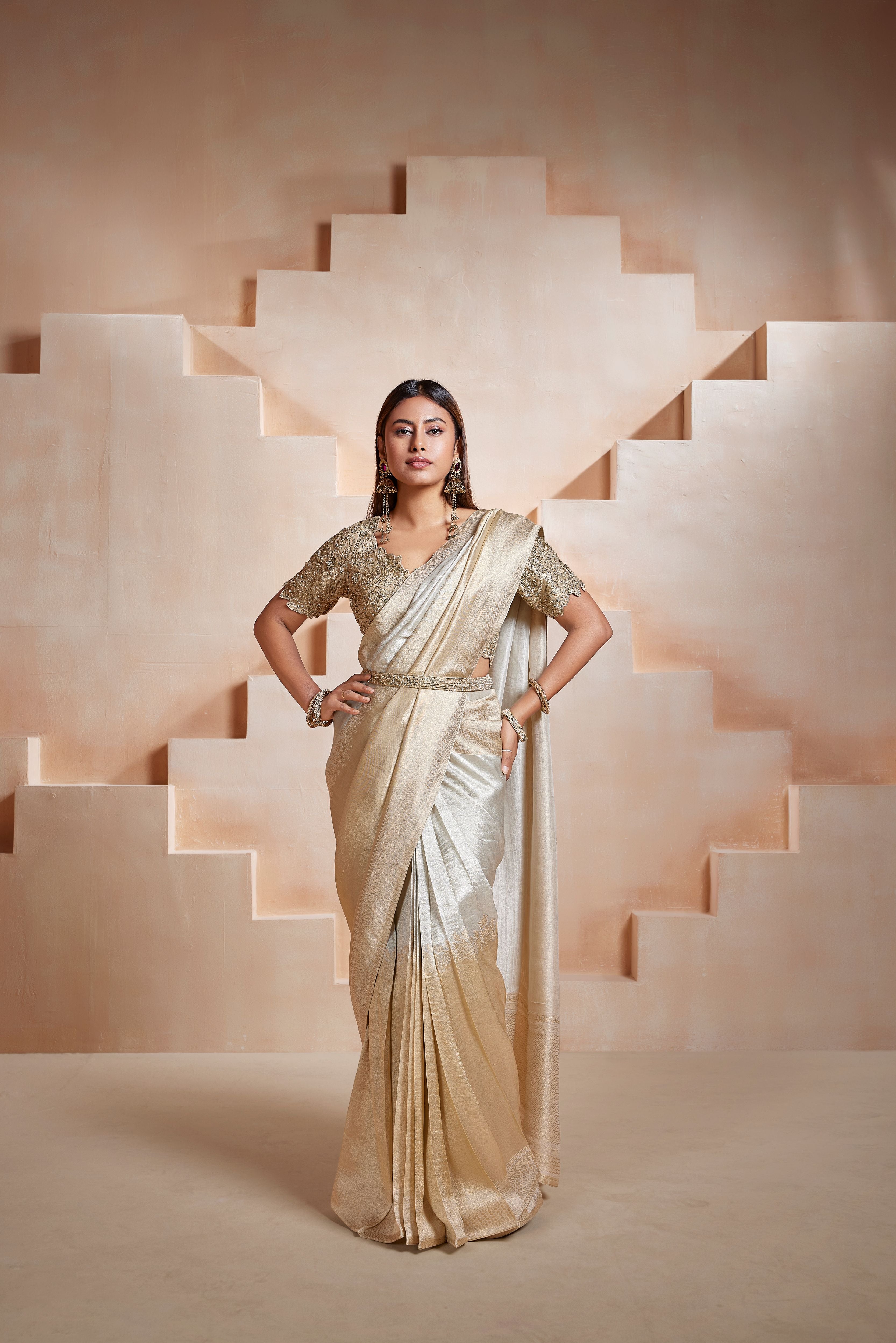 Champagne Ombre Embellished Banarasi Silk Saree