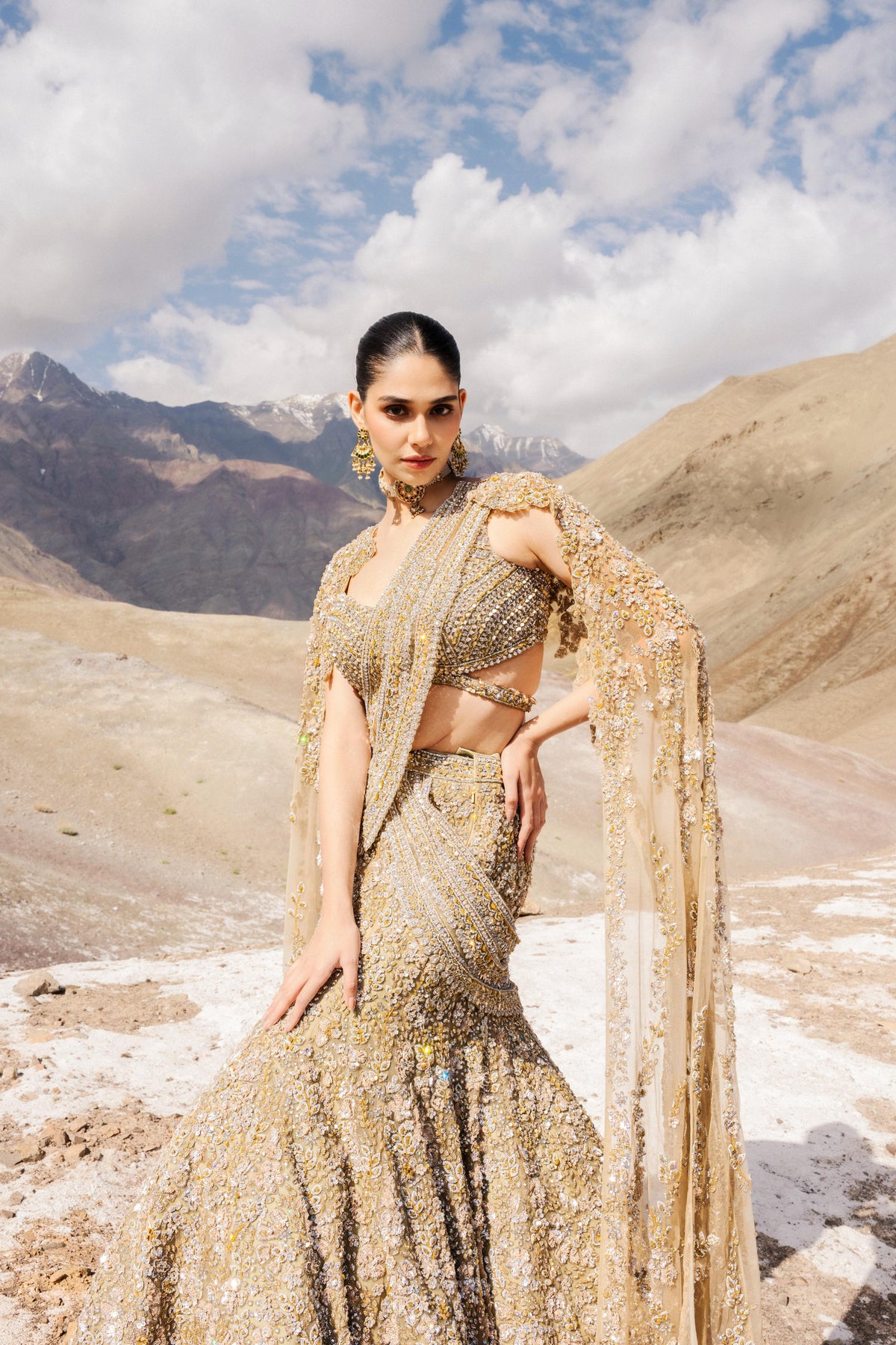 Champagne Gold Embellished Premium Net Saree Lehenga