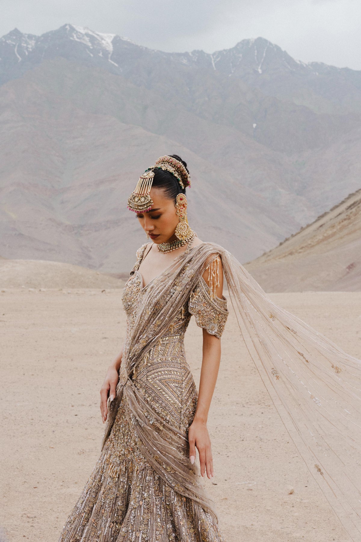 Mushroom Beige Embellished Premium Net Gown