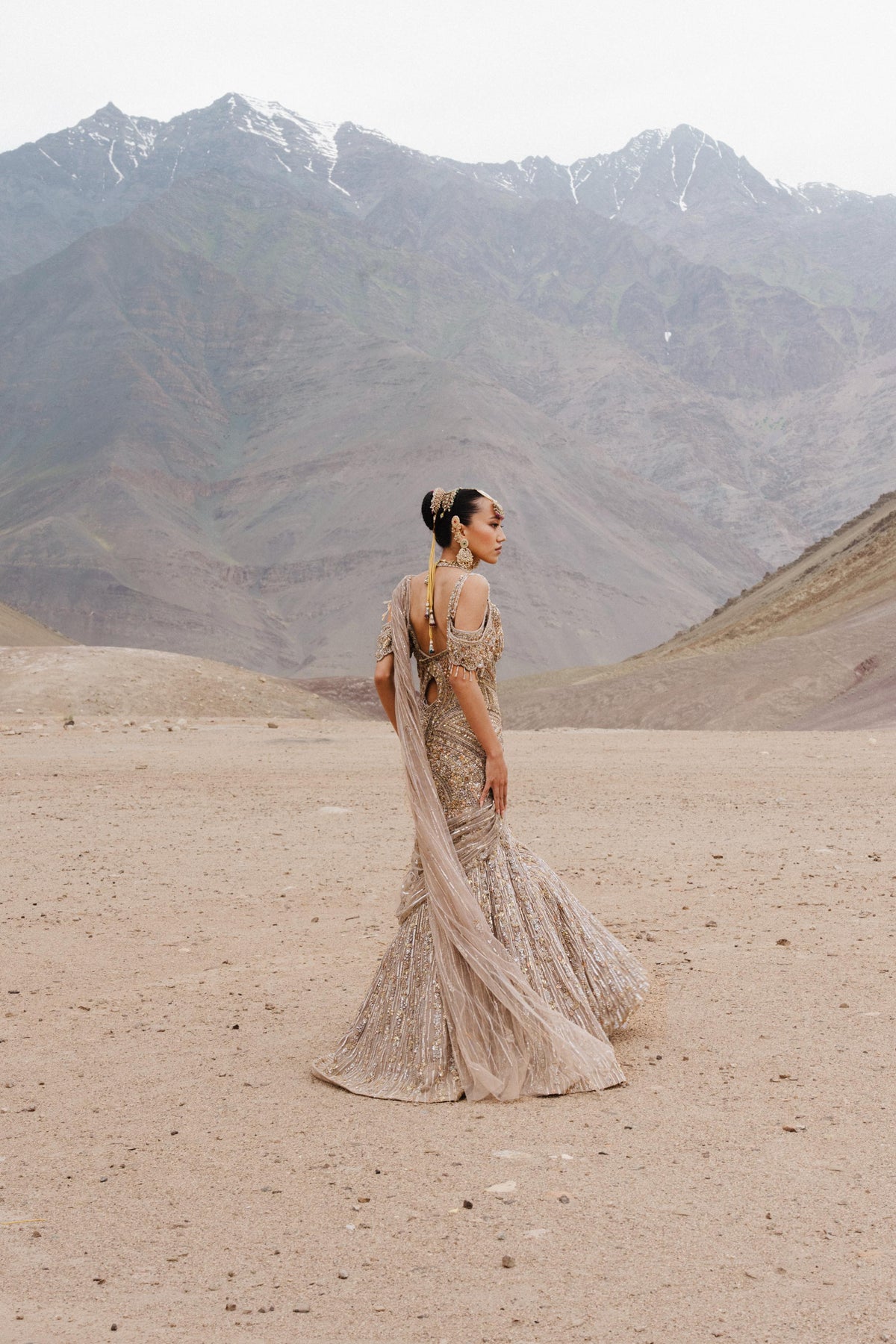 Mushroom Beige Embellished Premium Net Gown