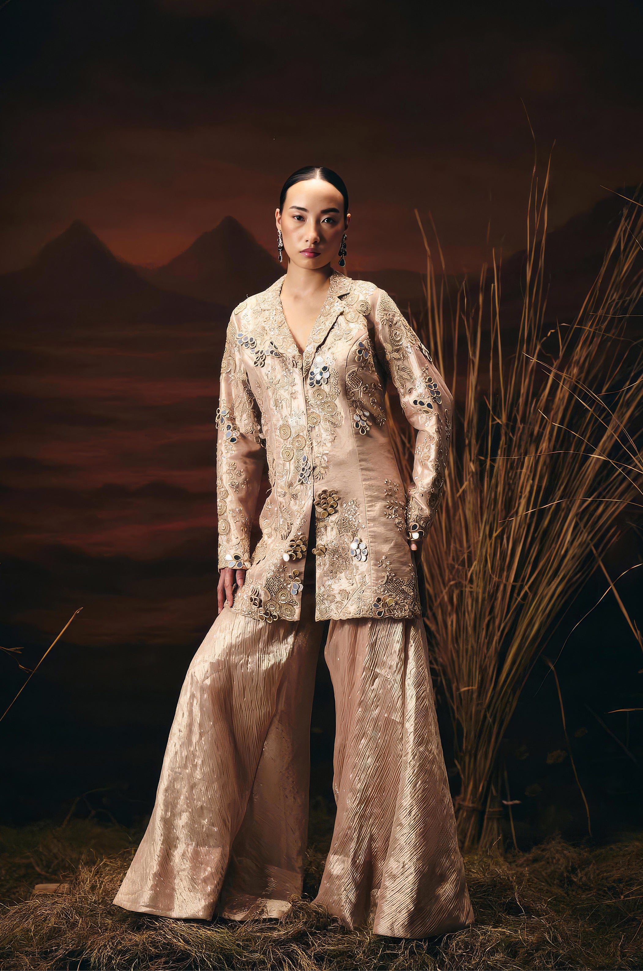 Dusty Beige Embellished Shimmer Tissue Silk Sharara Set