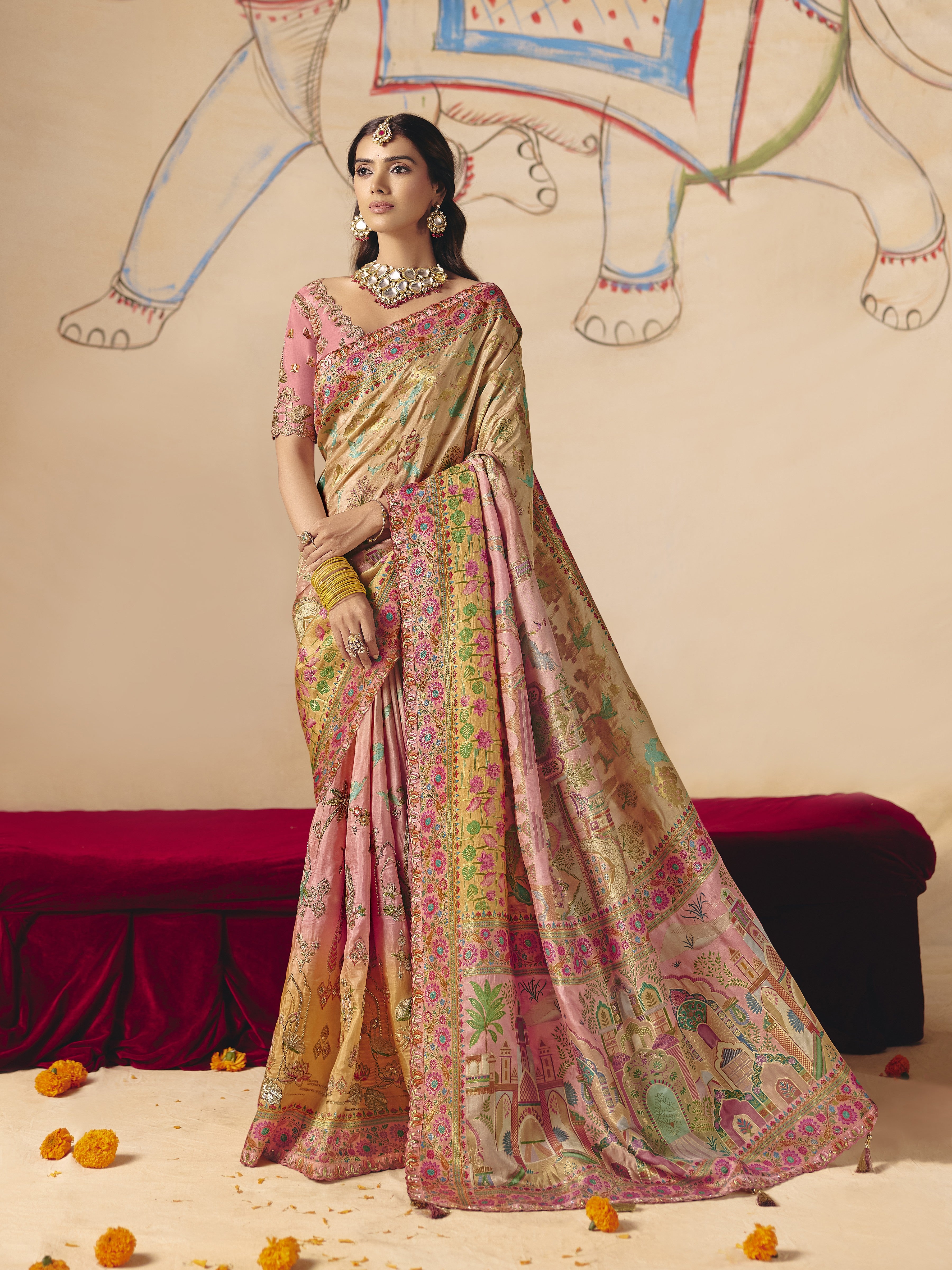 Rang Charm Embellished Dola Silk Saree