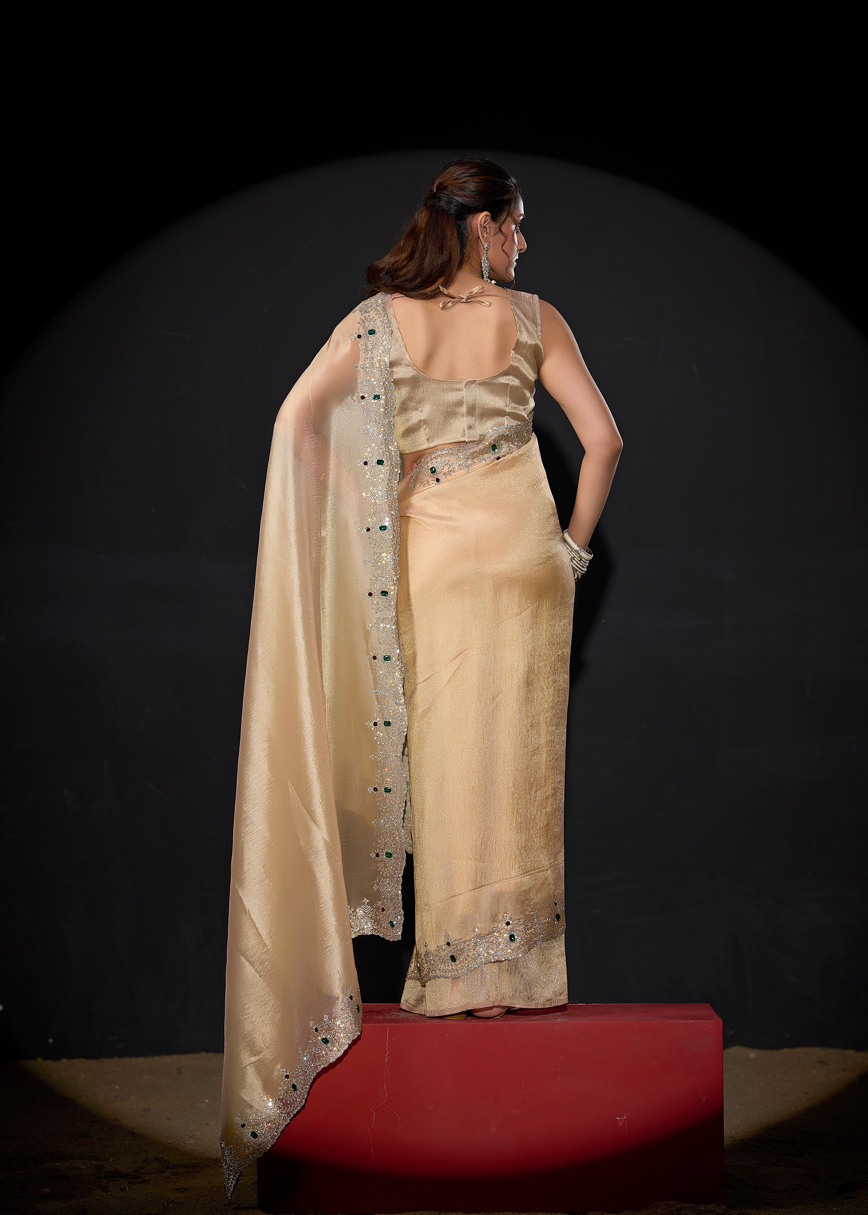 Pale Gold Embellished Shimmer Tissue Silk Saree