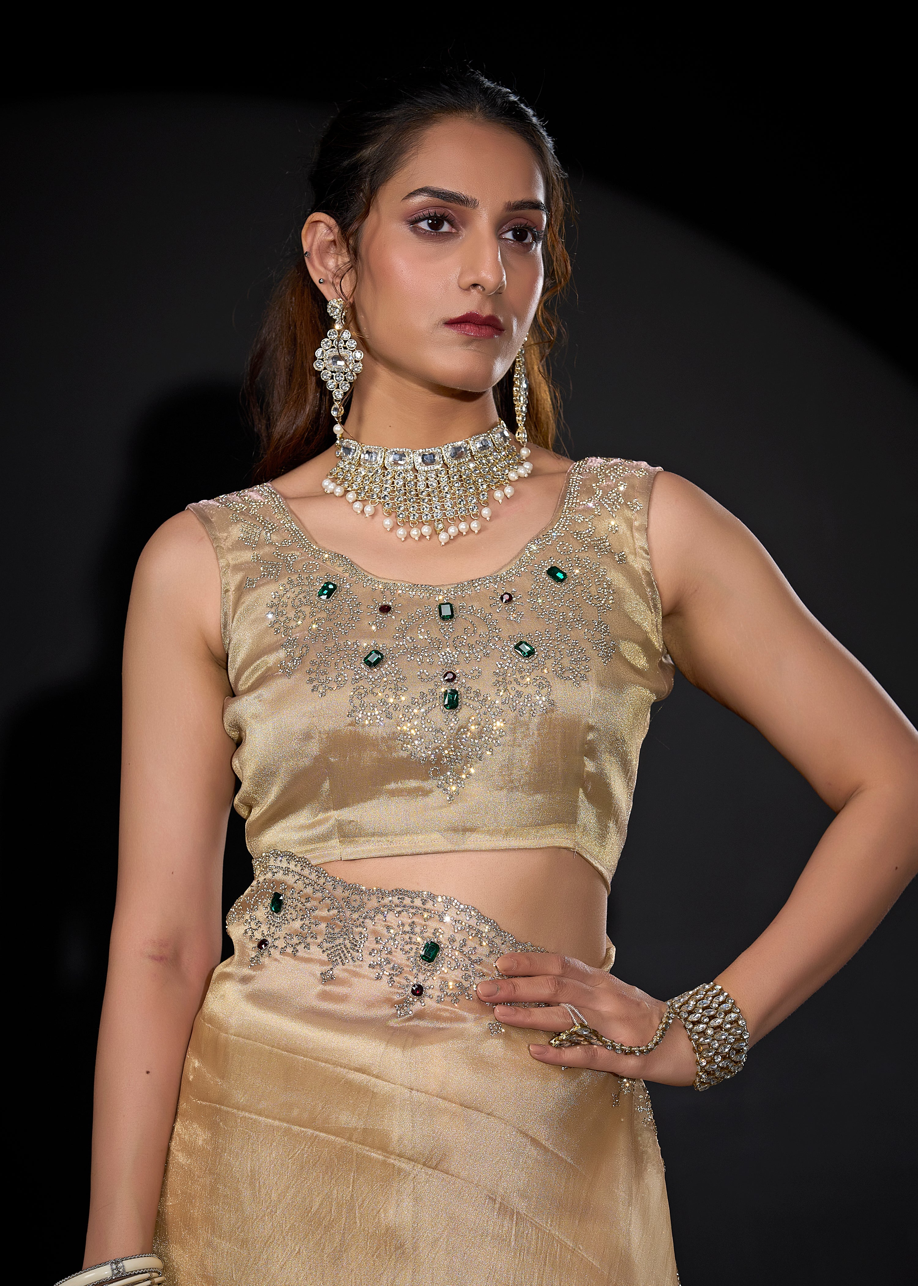 Pale Gold Embellished Shimmer Tissue Silk Saree