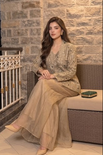 Muted Beige Embellished Shimmer Tissue Silk Co-Ord Set