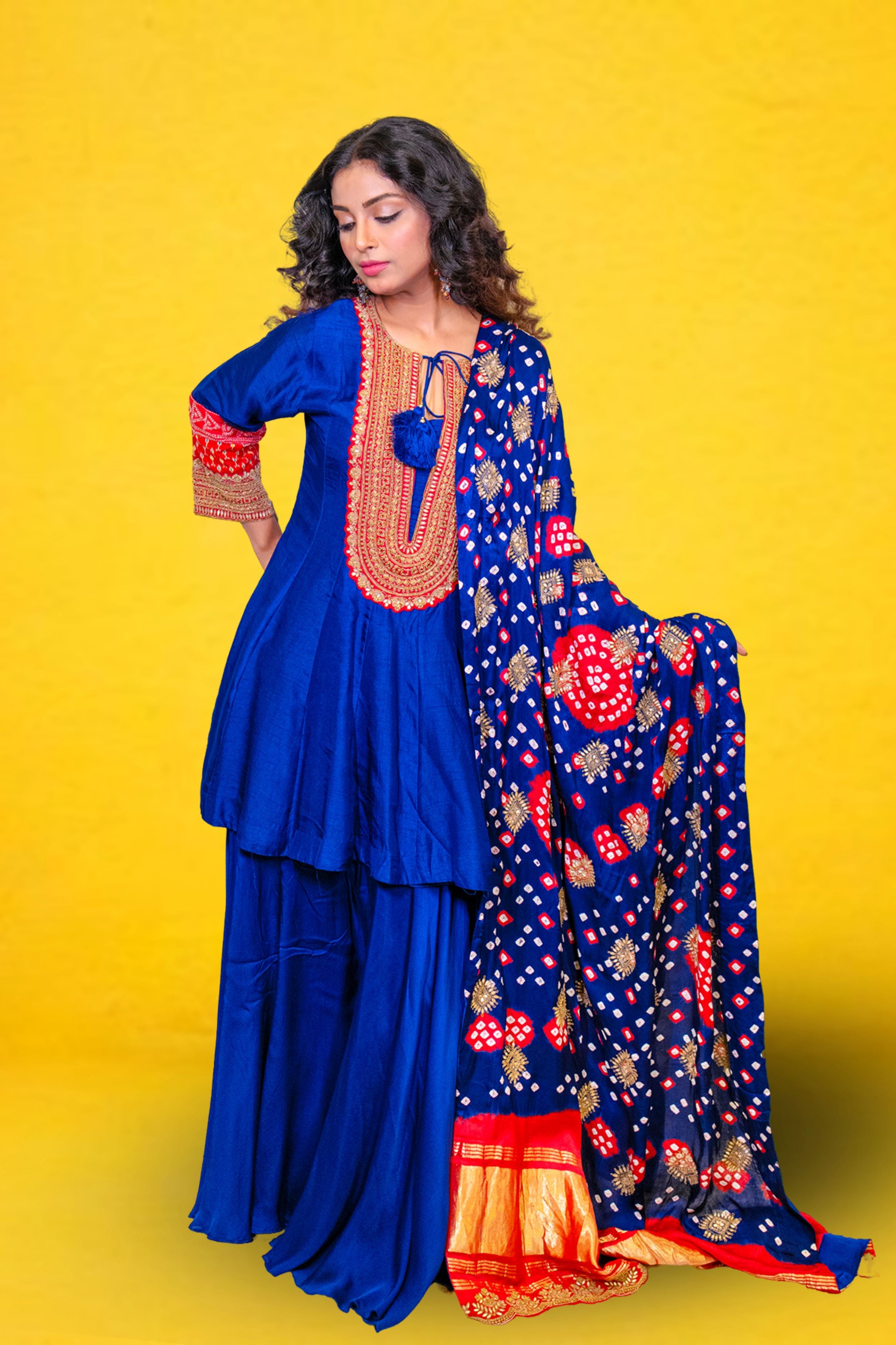 Blue Embellished Chennai Silk Sharara Set