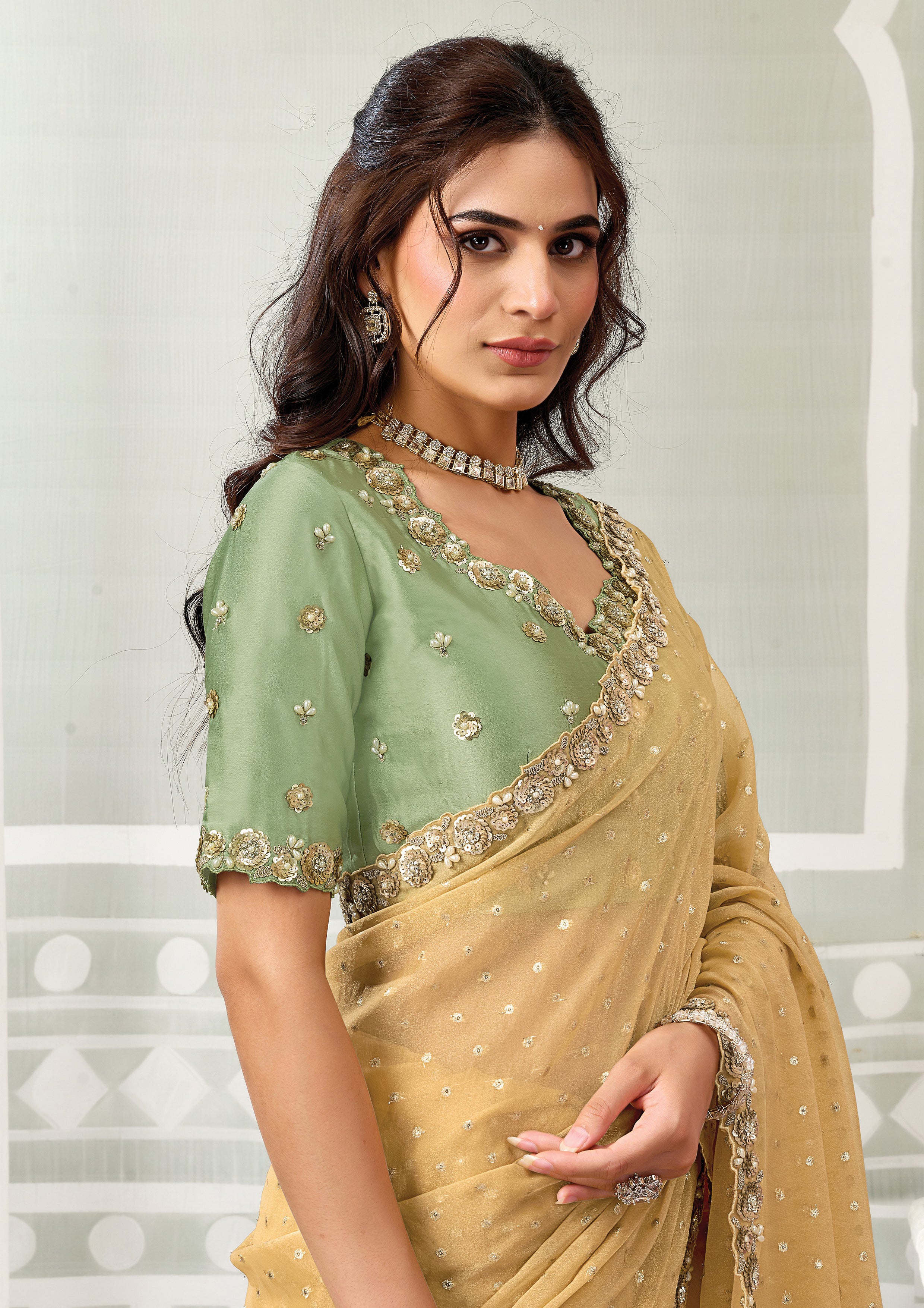 Golden Mist Embellished Georgette Jacquard Silk Saree