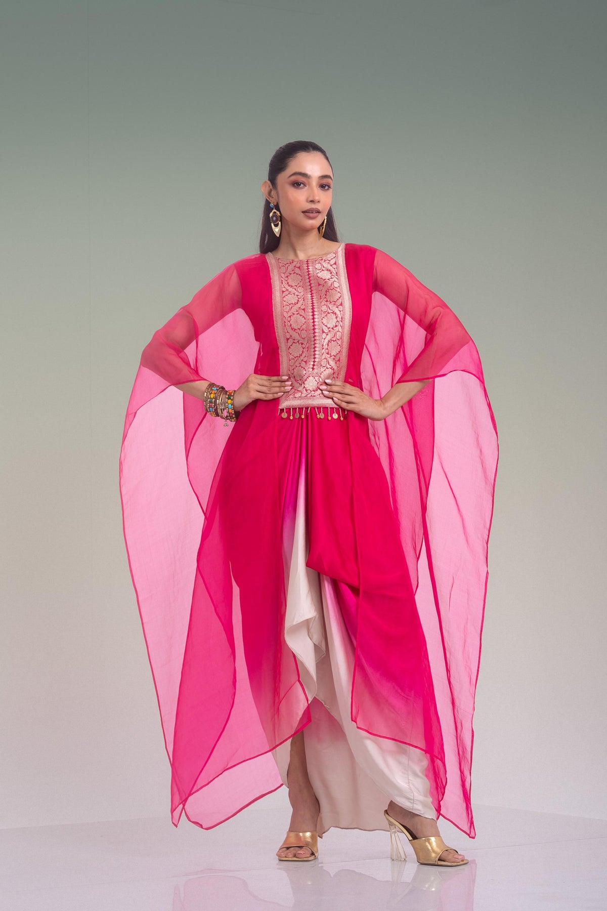 Rani Beige Ombre Embroidered Organza Silk Skirt Set
