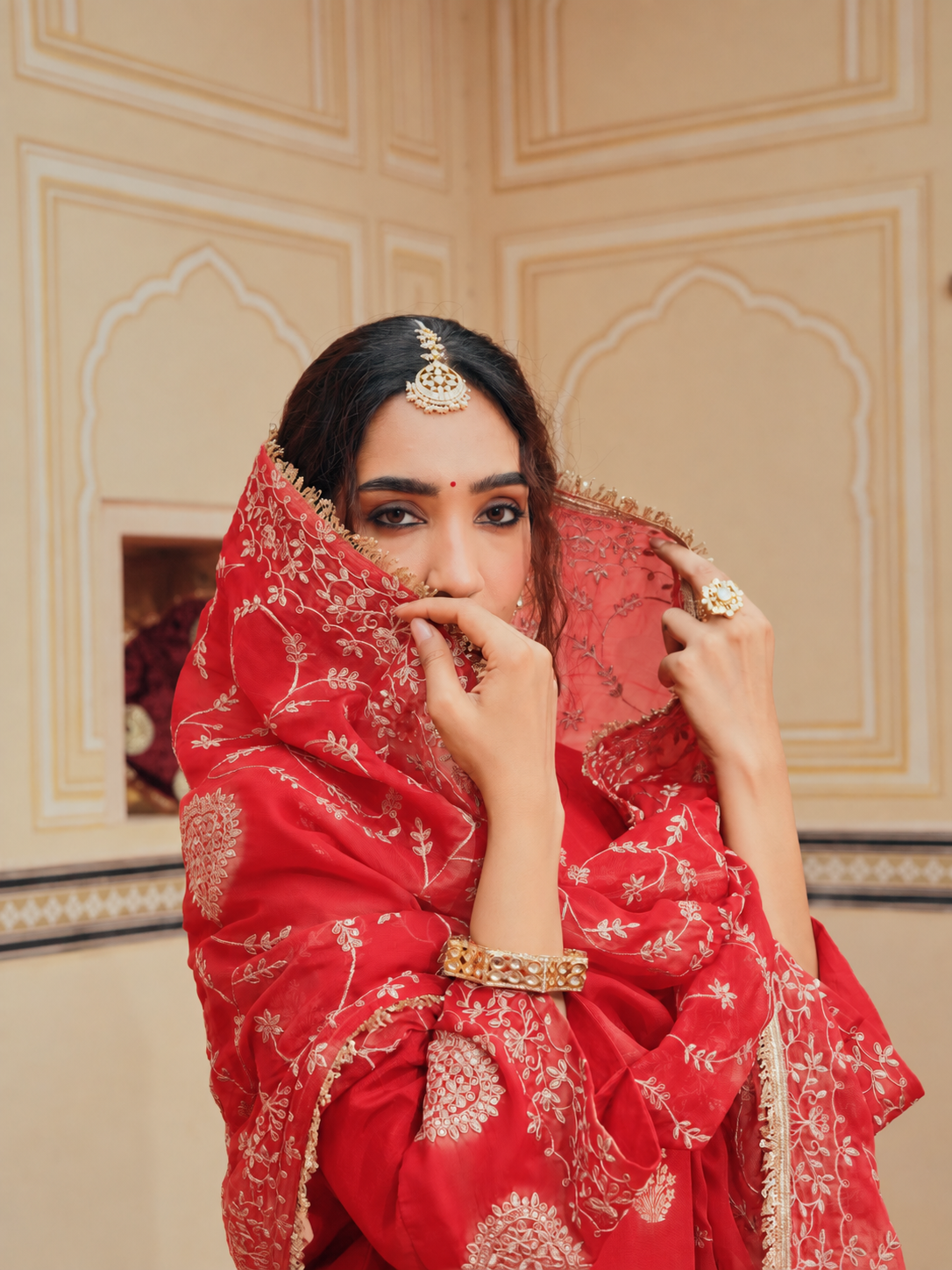 Red Embellished Pure Banarasi Sharara Set