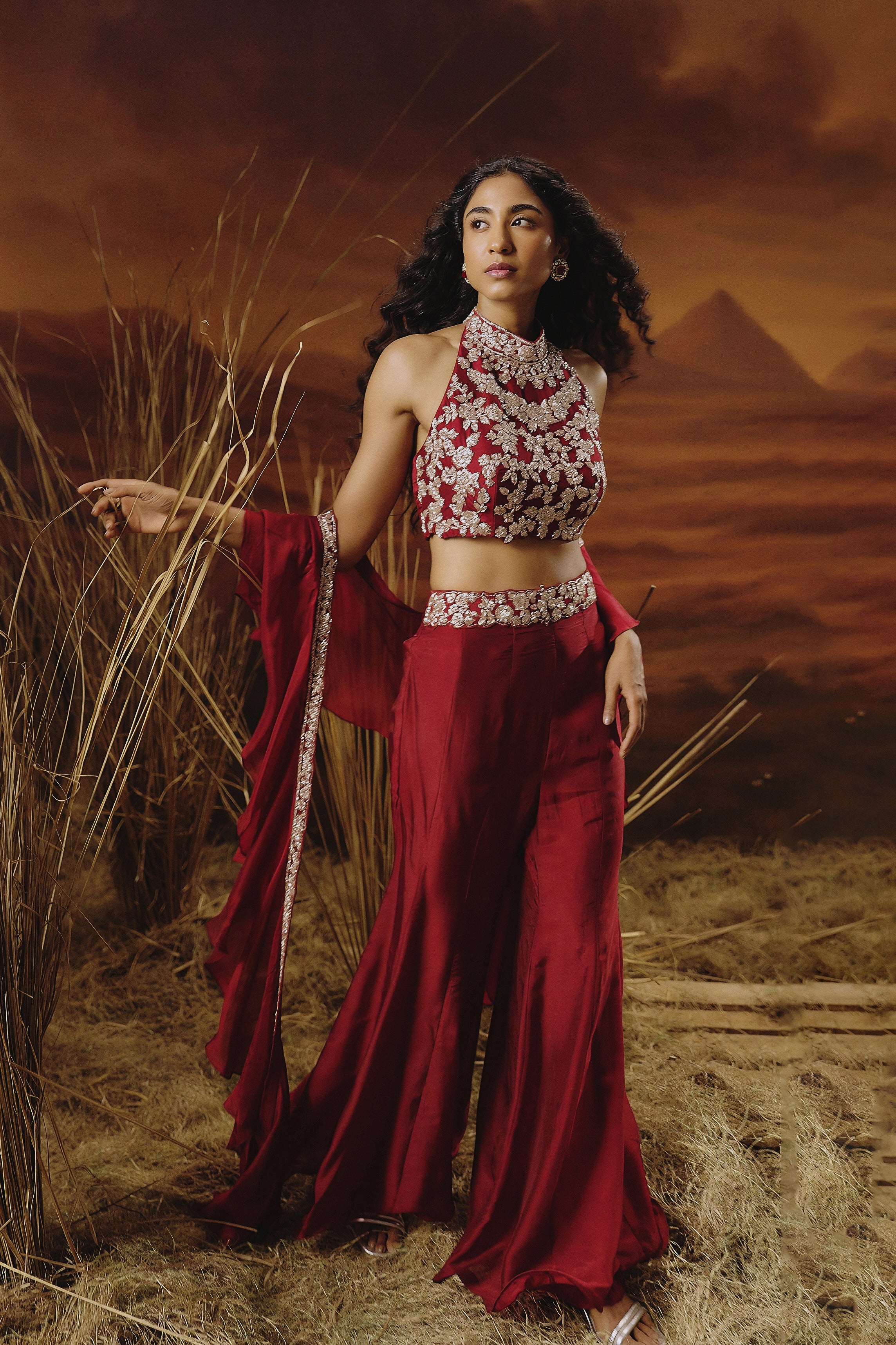 Deep Red Embellished Soft Organza Silk Palazzo Set