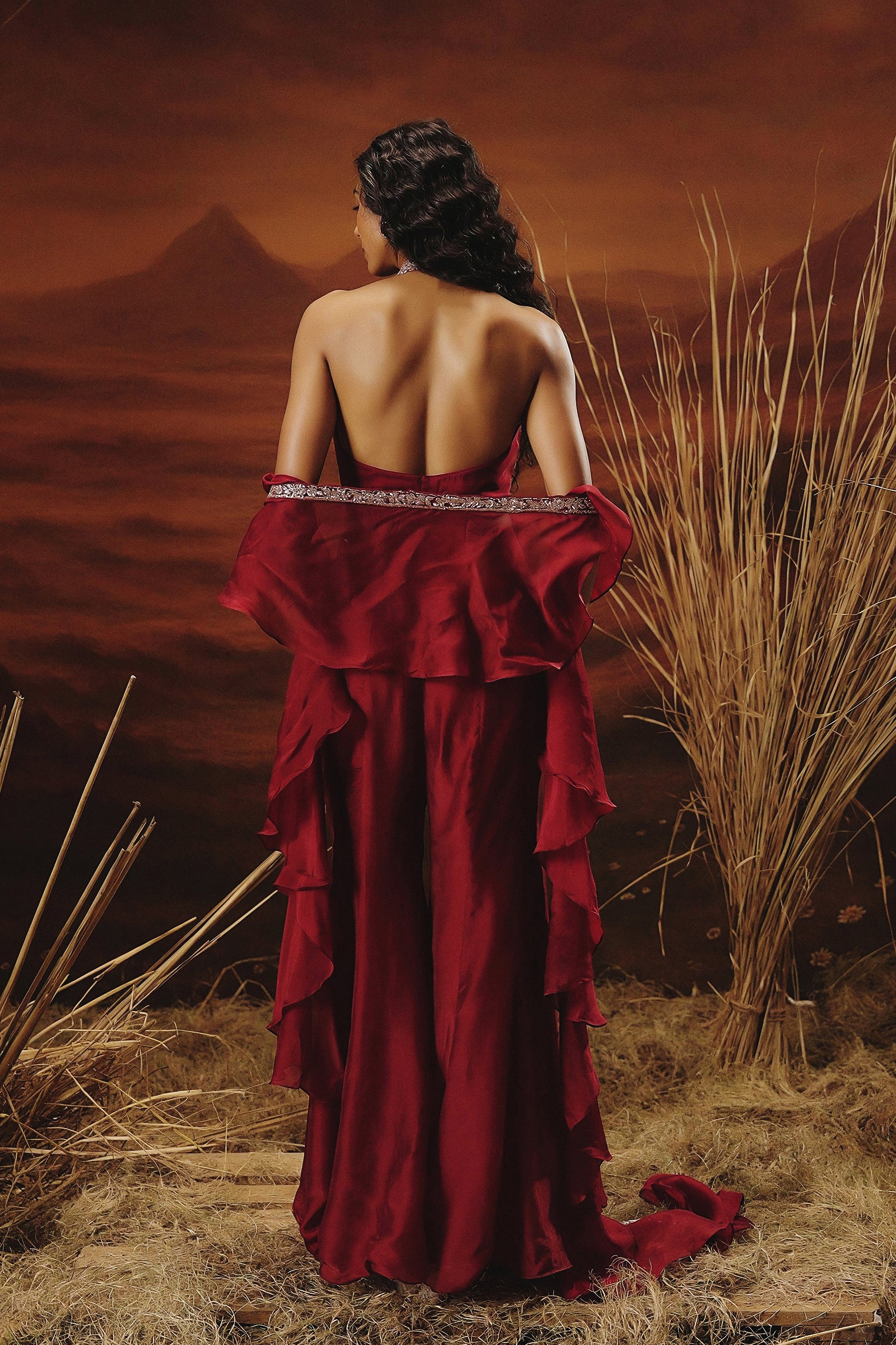 Deep Red Embellished Soft Organza Silk Palazzo Set