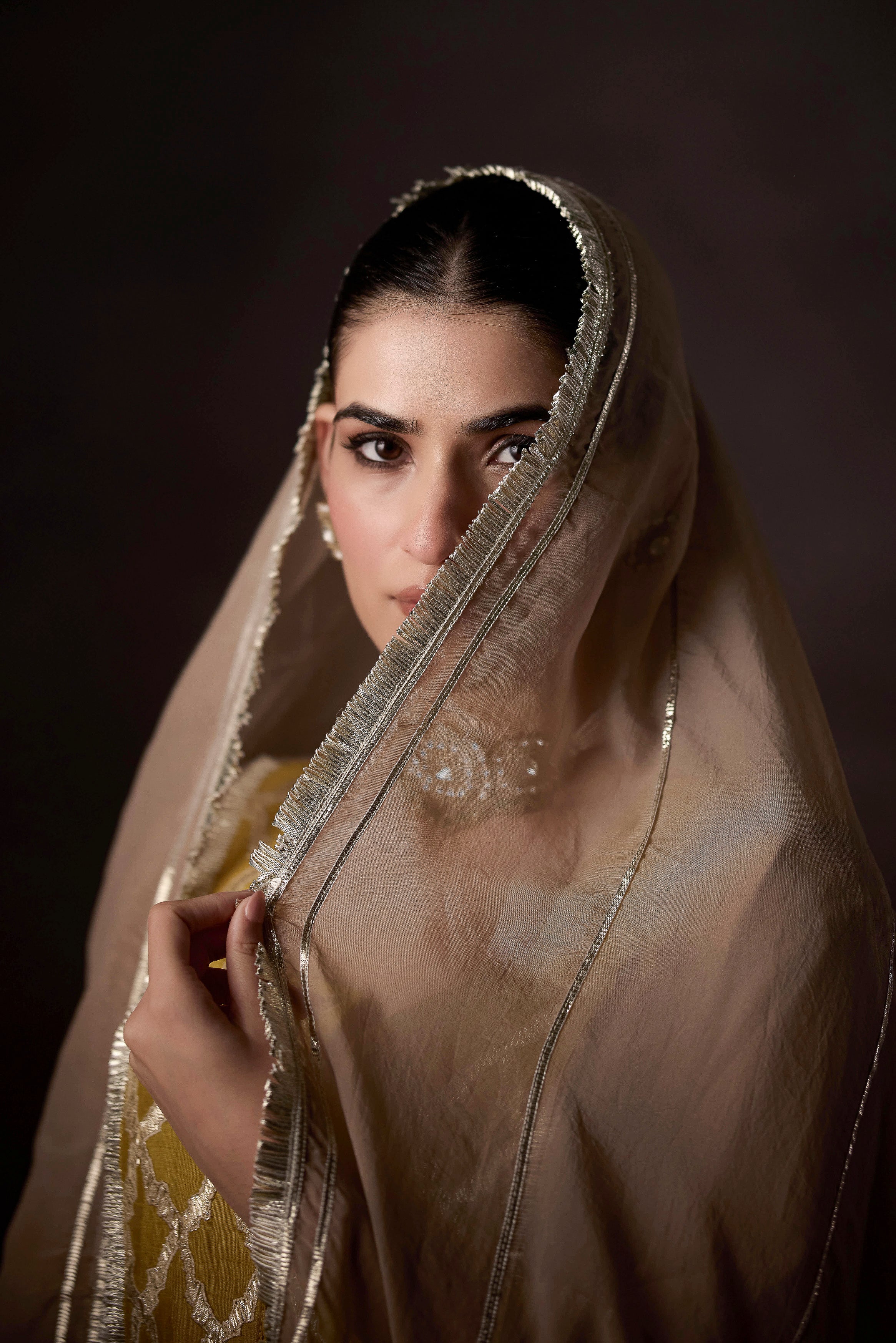 Timeless Beige-Brown Raw Silk Anarkali Set