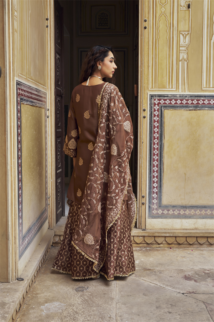 Brown Embellished Pure Banarasi Sharara Set
