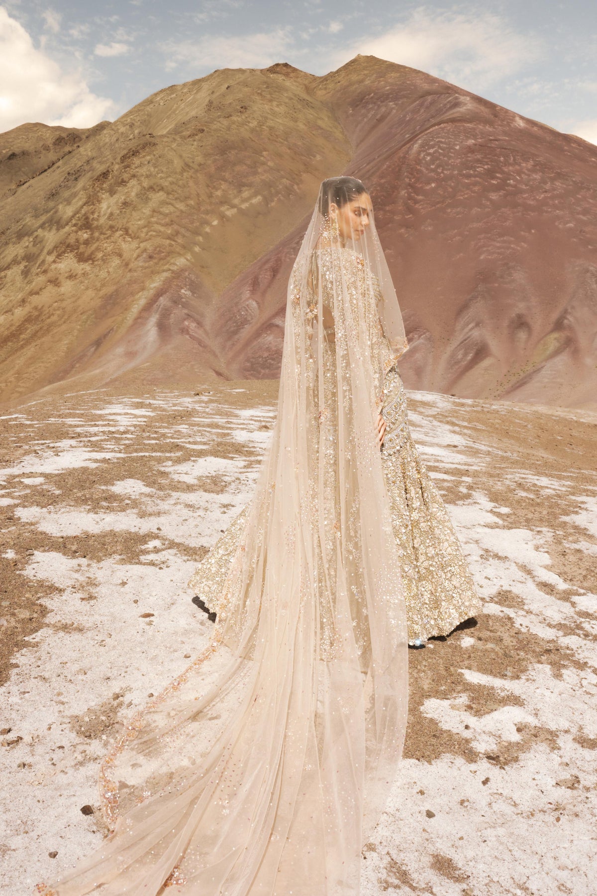Champagne Gold Embellished Premium Net Saree Lehenga