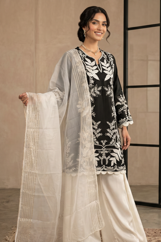 Mystic Noir Embroidered Raw Silk Pant Set