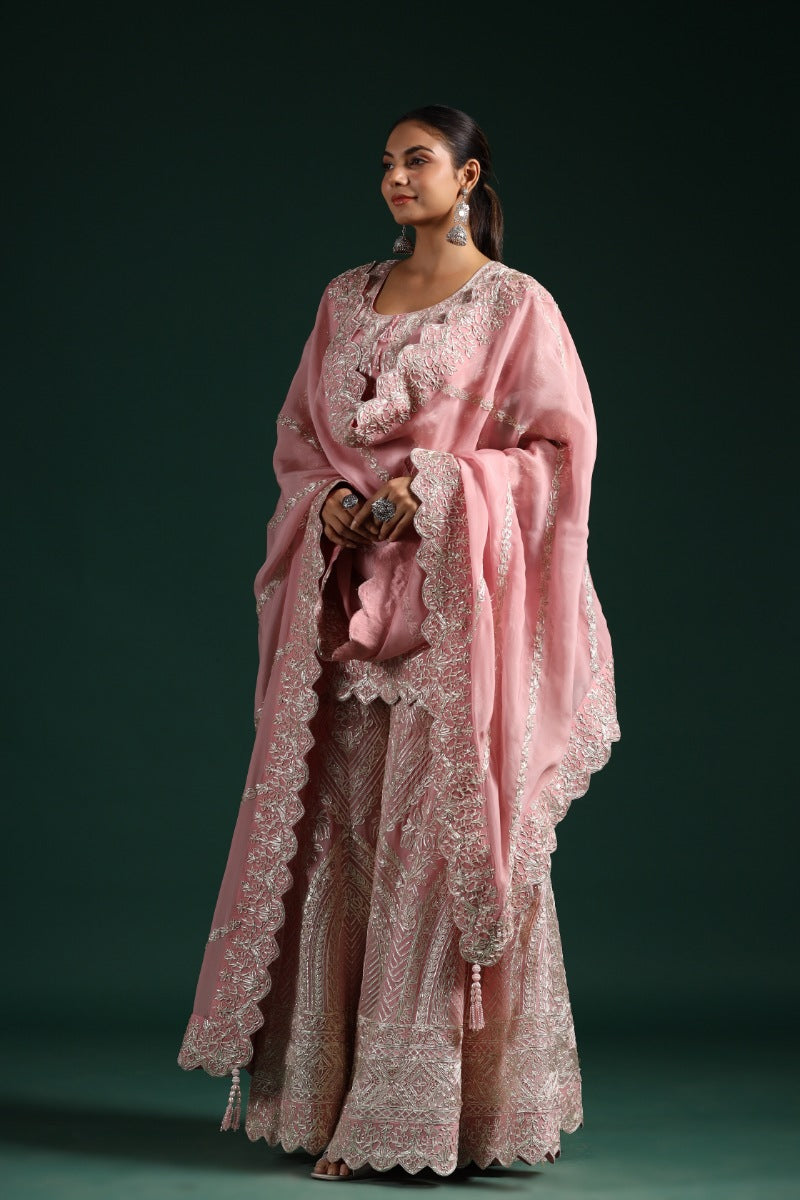 Light Pink Embellished Premium Georgette Silk Palazzo Set