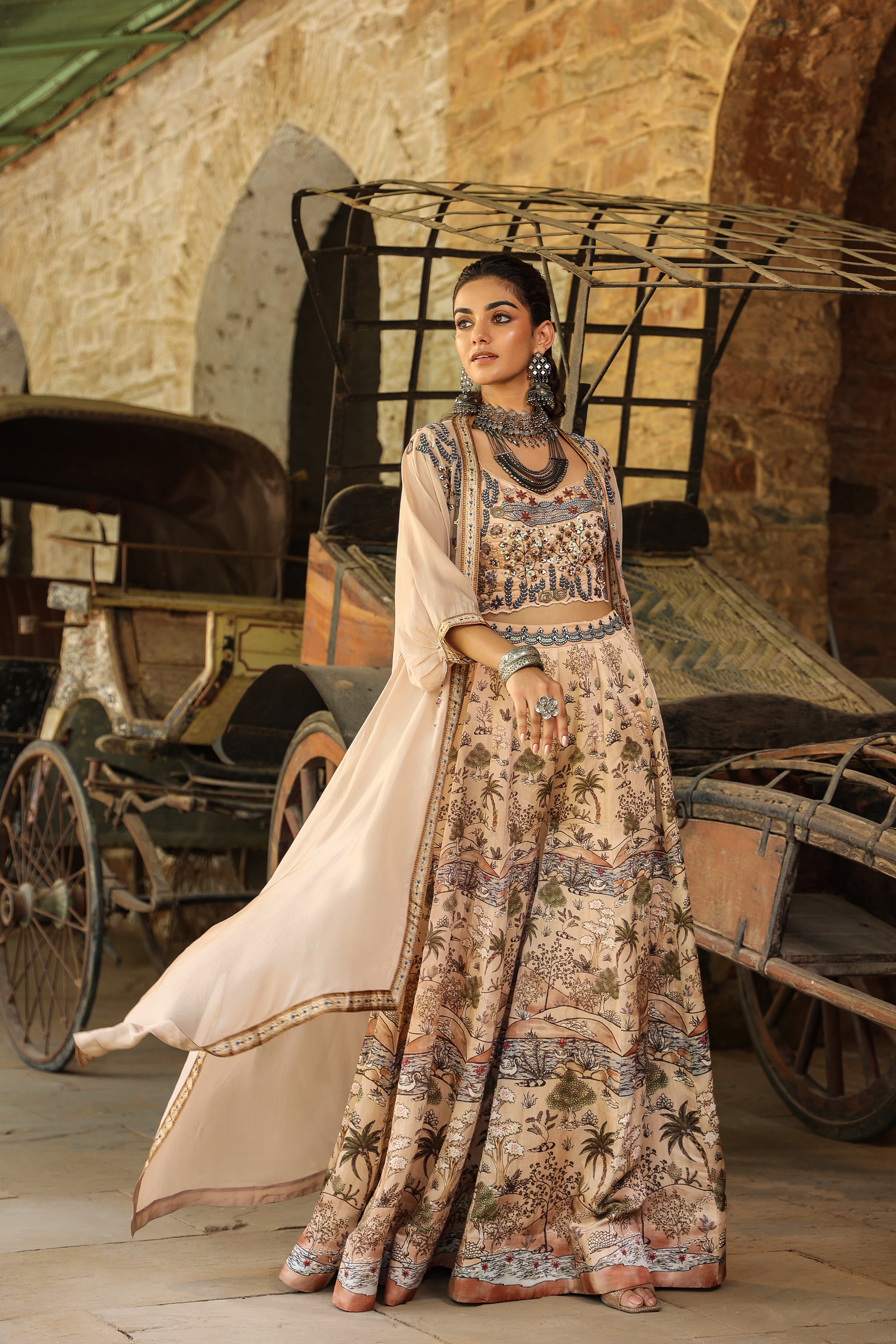 Beige Traditional Printed Organza Silk Cape Set