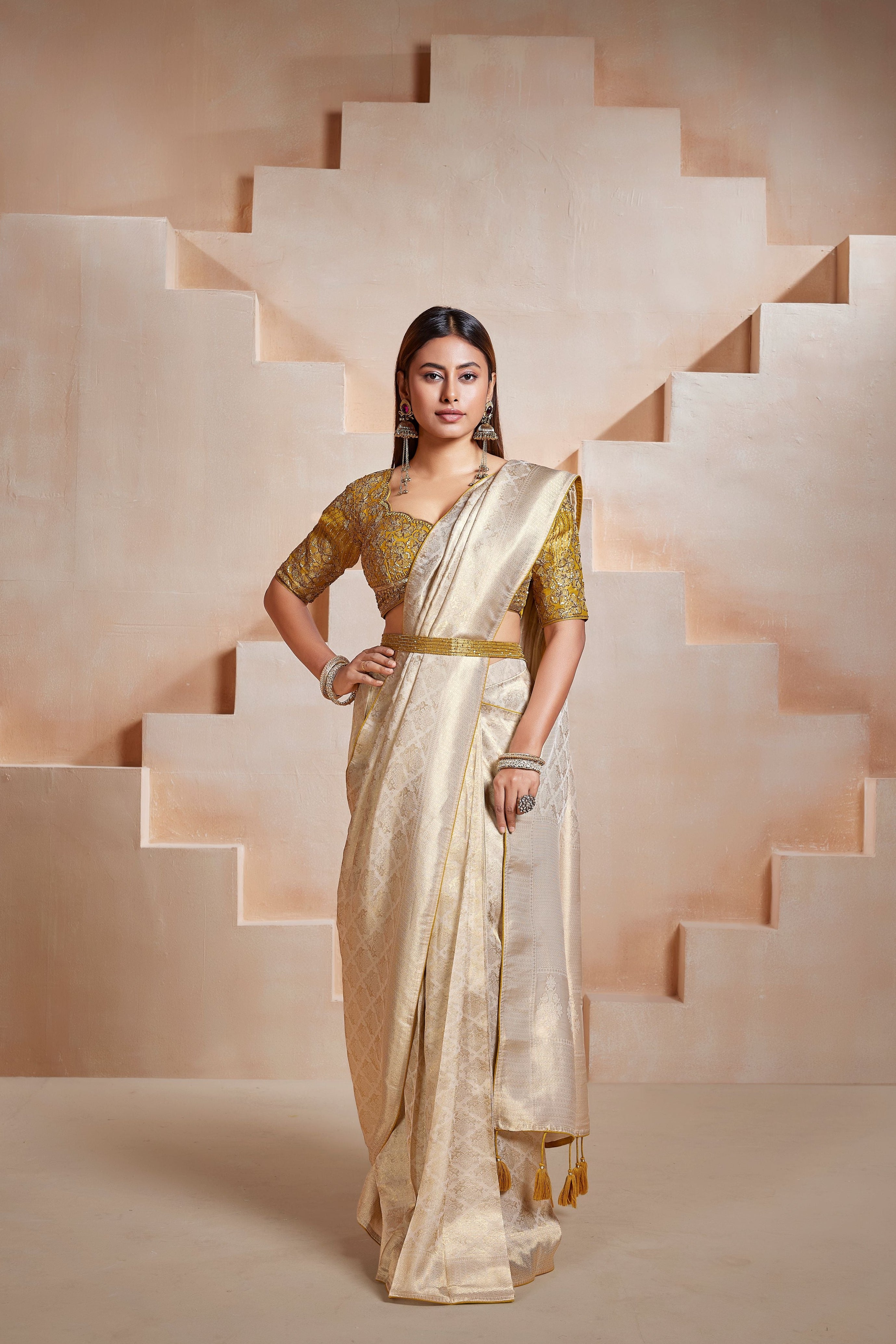 Gilded Ivory Embellished Banarasi Tissue Silk Saree