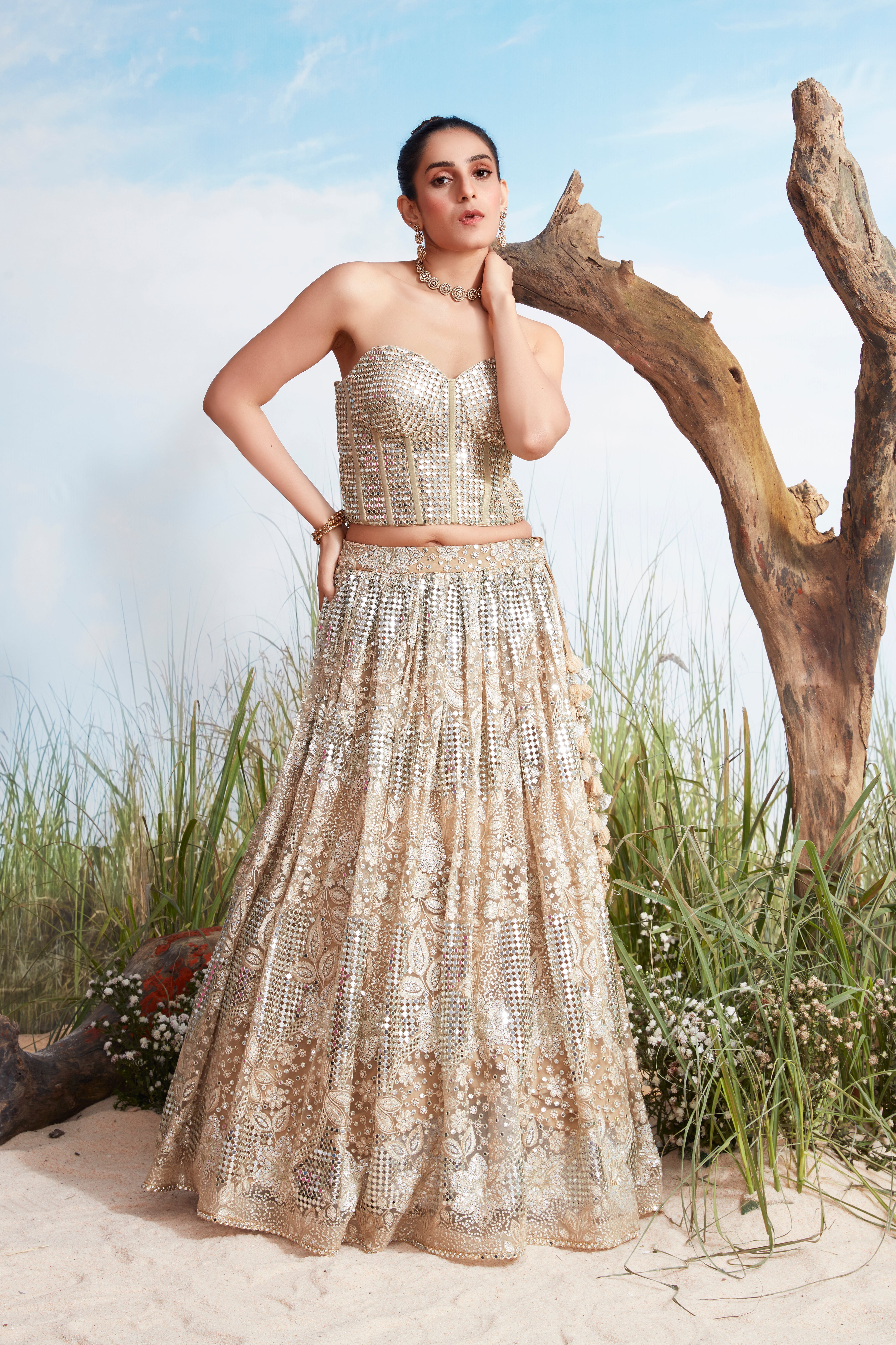 Champagne Beige Printed Premium Net Lehenga Set