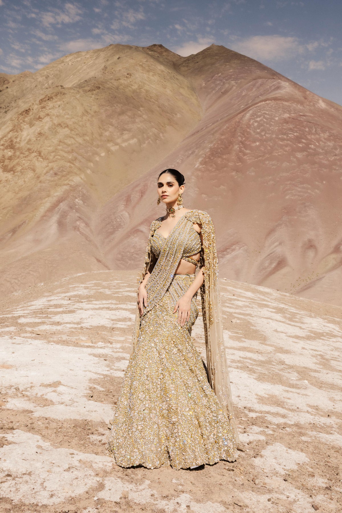 Champagne Gold Embellished Premium Net Saree Lehenga