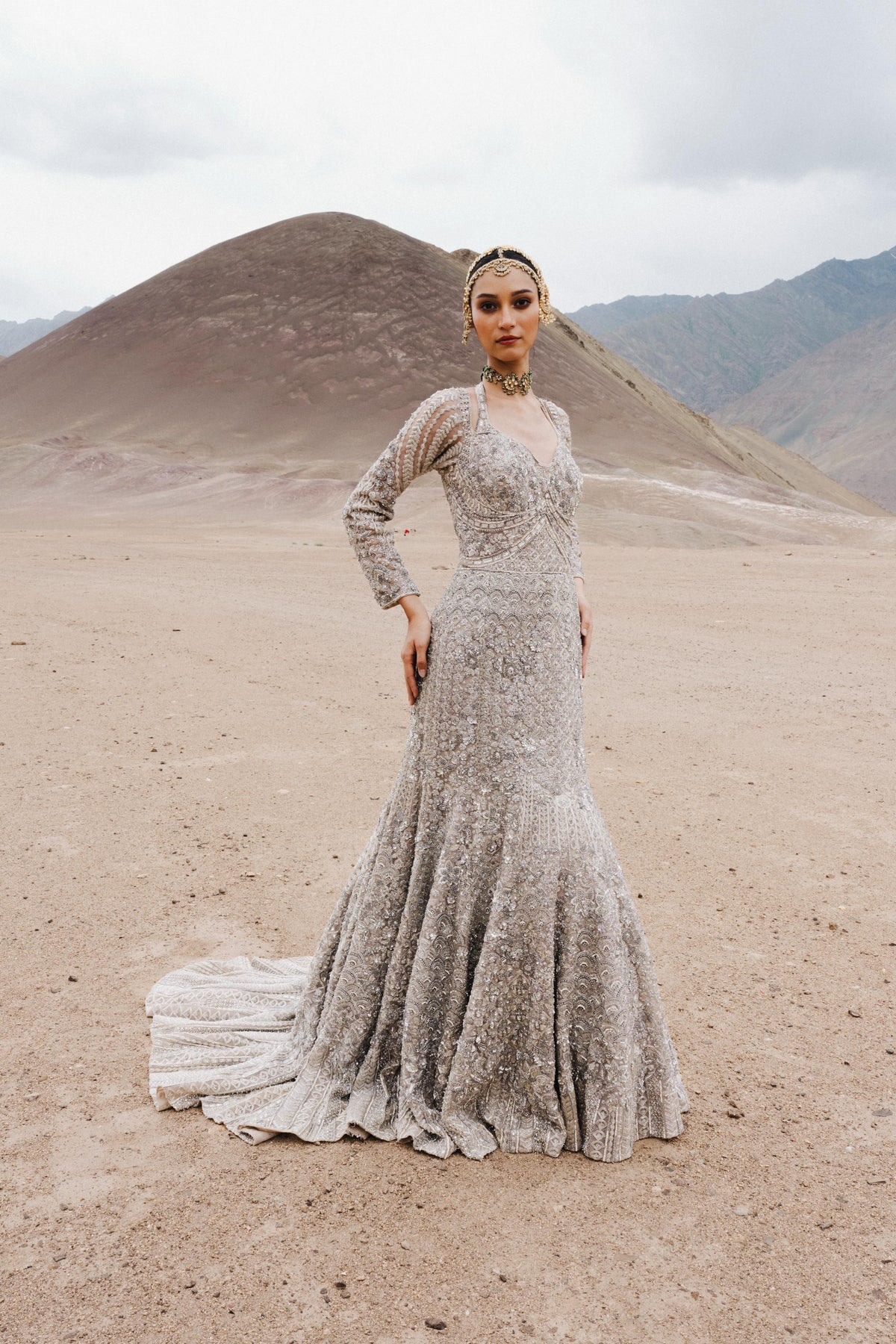 Silver Taupe Embellished Premium Net Gown