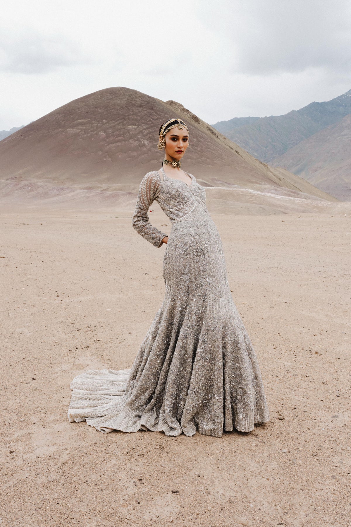 Silver Taupe Embellished Premium Net Gown