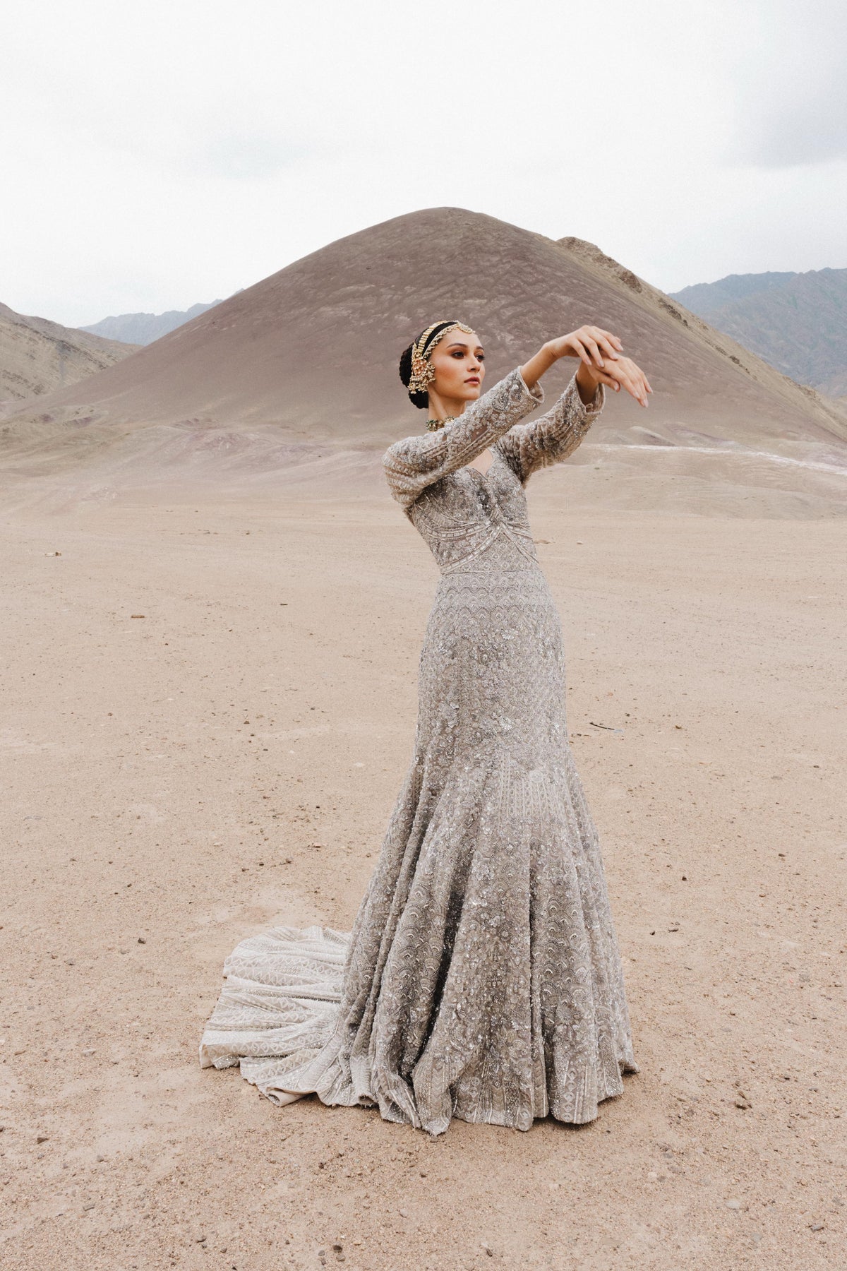 Silver Taupe Embellished Premium Net Gown