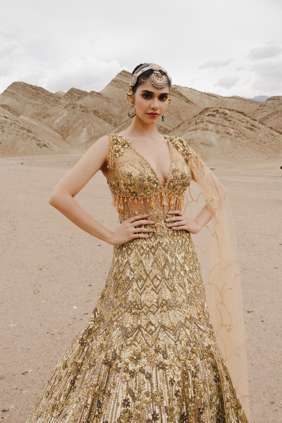 Royal Metallic Gold Embellished Premium Net Gown