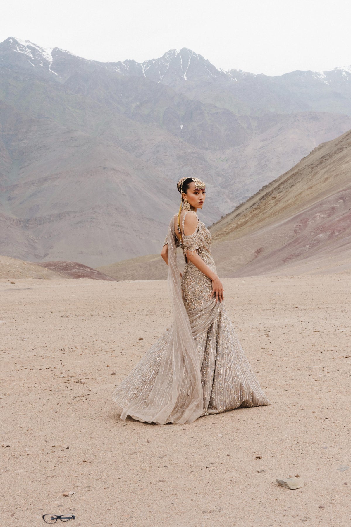 Mushroom Beige Embellished Premium Net Gown